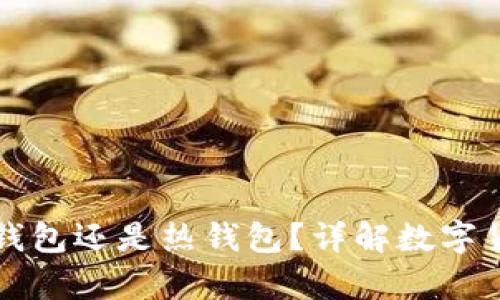 TP钱包是冷钱包还是热钱包？详解数字货币存储方式