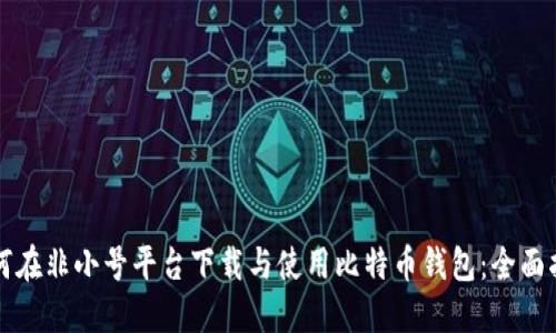 如何在非小号平台下载与使用比特币钱包：全面指南