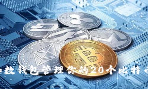 如何使用和数钱包管理你的20个比特币：全面指南