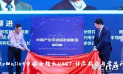如何在tpWallet中安全转出