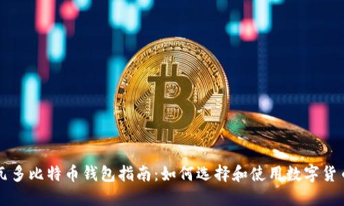 萨尔瓦多比特币钱包指南：如何选择和使用数字货币钱包