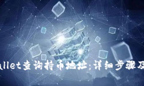 如何使用tpWallet查询持币地址：详细步骤及常见问题解答
