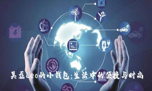 吴磊Leo的小钱包：生活中的便捷与时尚