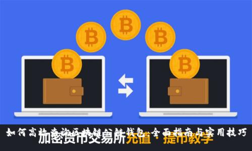 如何高效查询区块链公链钱包：全面指南与实用技巧