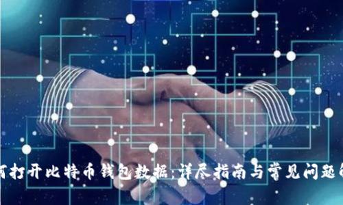 如何打开比特币钱包数据：详尽指南与常见问题解答