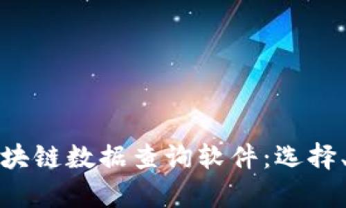 全面解析区块链数据查询软件：选择、功能与前景
