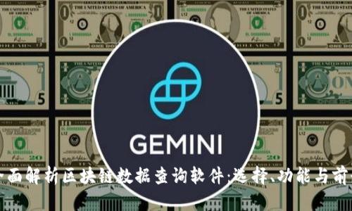 全面解析区块链数据查询软件：选择、功能与前景