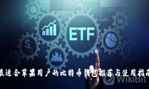 最适合苹果用户的比特币钱包推荐与使用指南