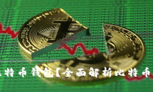 如何选择合适的比特币钱包？全面解析比特币钱包的类型与功能