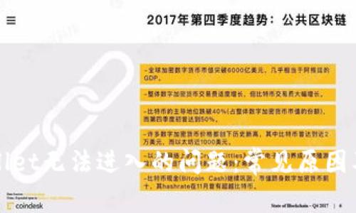 解决tpWallet无法进入的问题：常见原因及解决方案