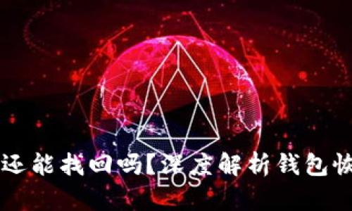 区块链钱包倒闭还能找回吗？深度解析钱包恢复可能性与方法