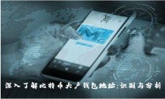 深入了解比特币大户钱包