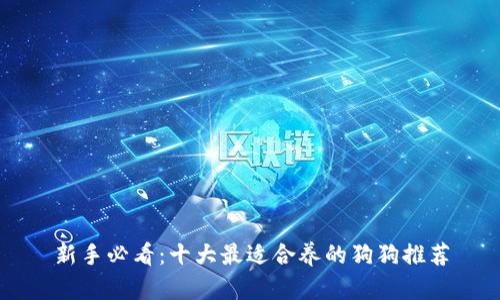 新手必看：十大最适合养的狗狗推荐