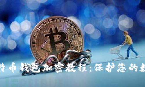 全面解析比特币钱包加密教程：保护您的数字资产安全