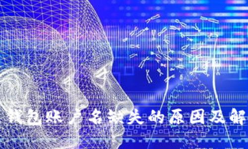 瑞波币钱包账户名缺失的原因及解决方法