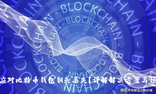 : 如何应对比特币钱包钥匙丢失？详解解决方案与预防措施