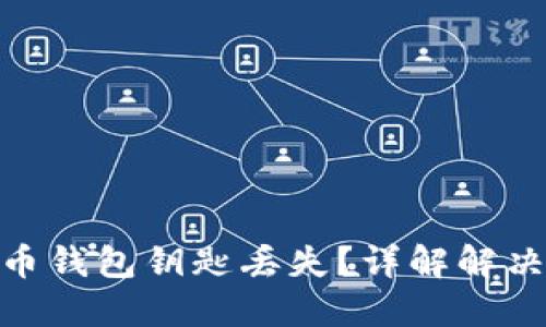 : 如何应对比特币钱包钥匙丢失？详解解决方案与预防措施