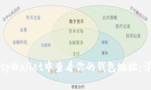 如何在tpWallet中查看你的钱包地址：详细指南
