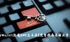 tpWallet没有BNB怎么办？完整