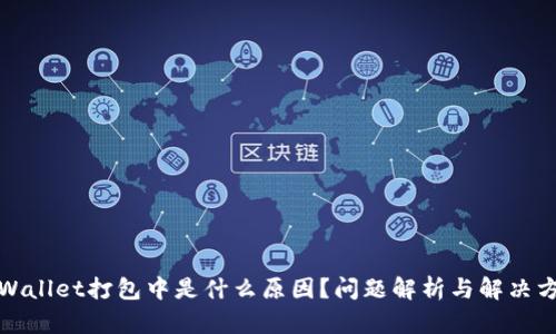 tpWallet打包中是什么原因？问题解析与解决方案