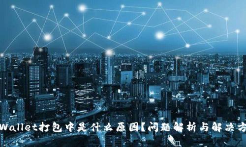 tpWallet打包中是什么原因？问题解析与解决方案