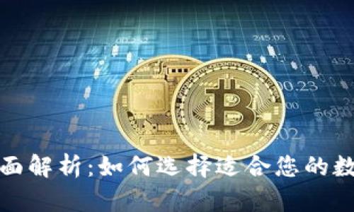 加密钱包程序全面解析：如何选择适合您的数字资产管理工具