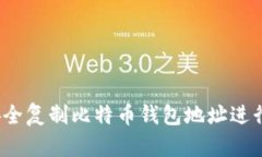 如何安全复制比特币钱包
