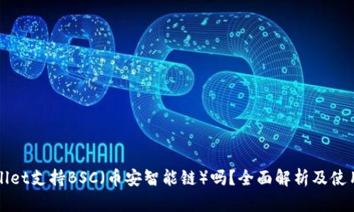 tpWallet支持BSC（币安智能链）吗？全面解析及使用指南