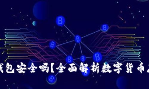 狗狗币放钱包安全吗？全面解析数字货币存储安全性