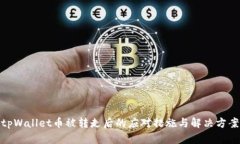 tpWallet币被转走后的应对措