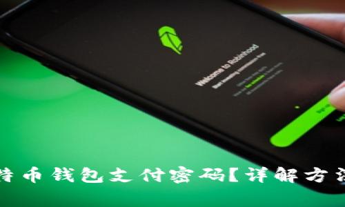 如何找回比特币钱包支付密码？详解方法与注意事项