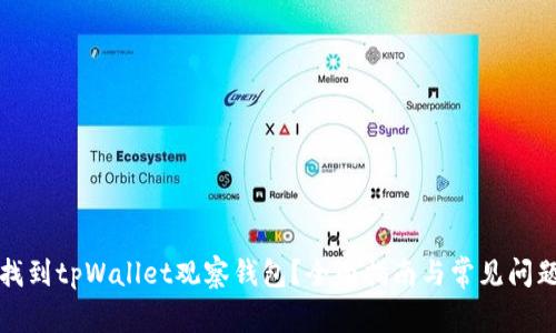 如何找到tpWallet观察钱包？全面指南与常见问题解答