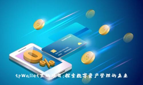 tpWallet里的项目：探索数字资产管理的未来