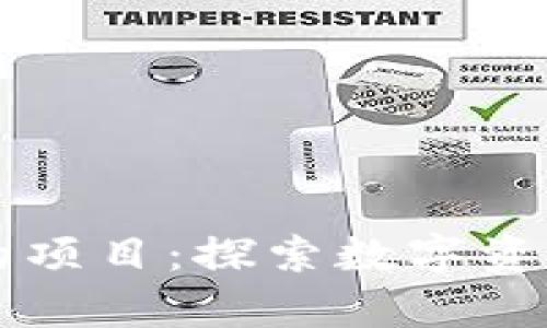 tpWallet里的项目：探索数字资产管理的未来