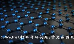 如何解决tpWallet打不开的问