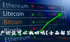 tpWallet资产被盗可以找回吗