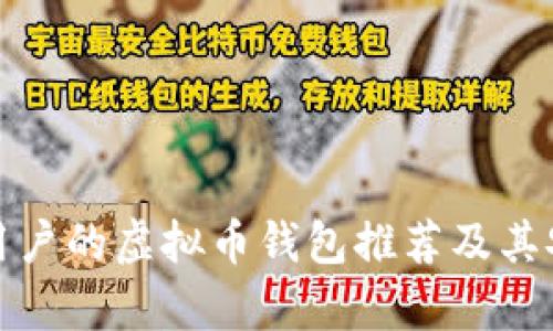 适合中国用户的虚拟币钱包推荐及其安全性分析