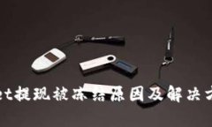 tpWallet提现被冻结原因及解