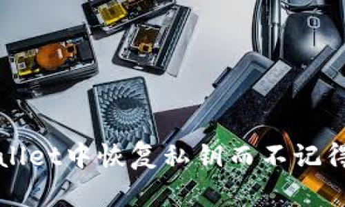 如何在tpWallet中恢复私钥而不记得密码的方法