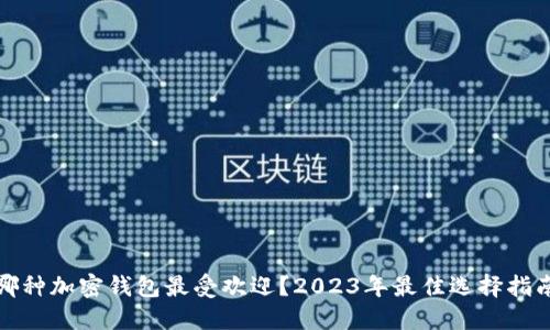 哪种加密钱包最受欢迎？2023年最佳选择指南