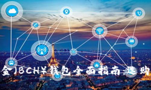 : 比特币现金（BCH）钱包全面指南：选购与使用技巧