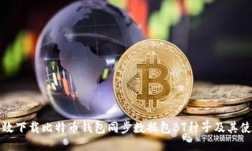 如何高效下载比特币钱包同步数据包BT种子及其使用指南