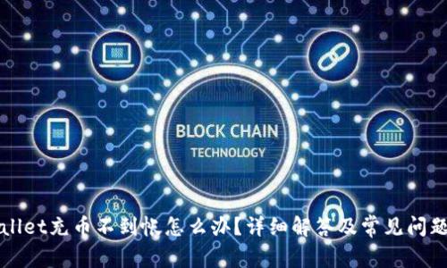 tpWallet充币不到帐怎么办？详细解答及常见问题解析