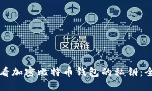 如何查看加密比特币钱包的私钥：全面指南